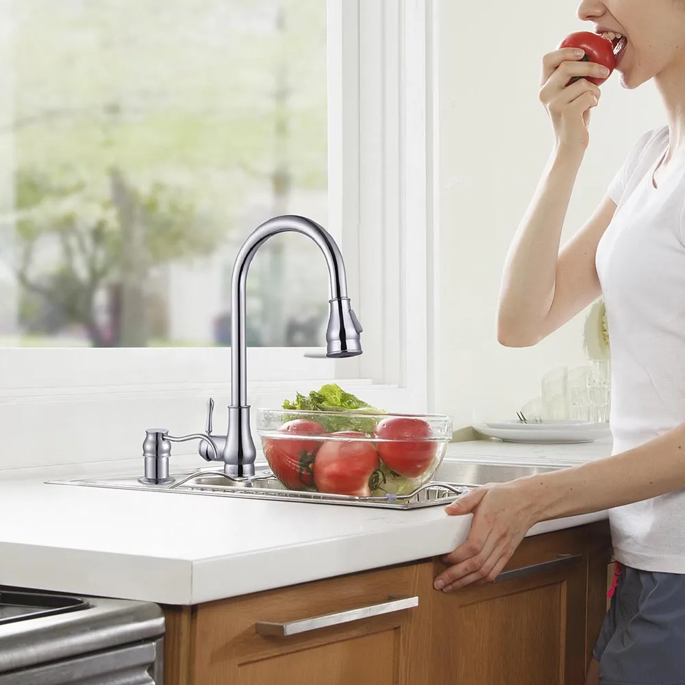 Aquaterior Soap Dispenser for Kitchen Sink Liquid 13.5oz
