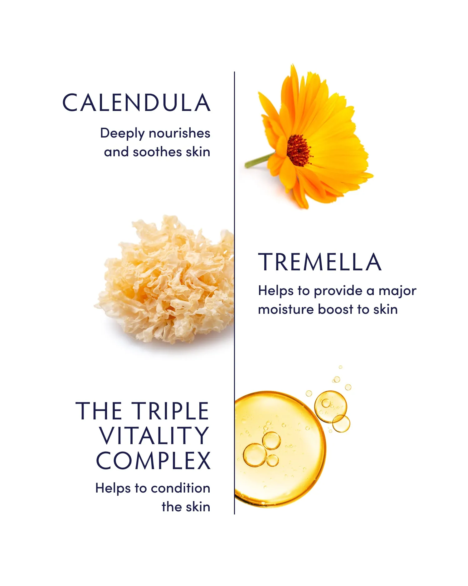 Calendula & Tremella Nourishing Body Butter