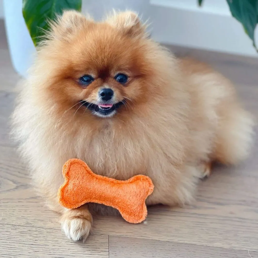 Loofah Bone Dental Toy - Small
