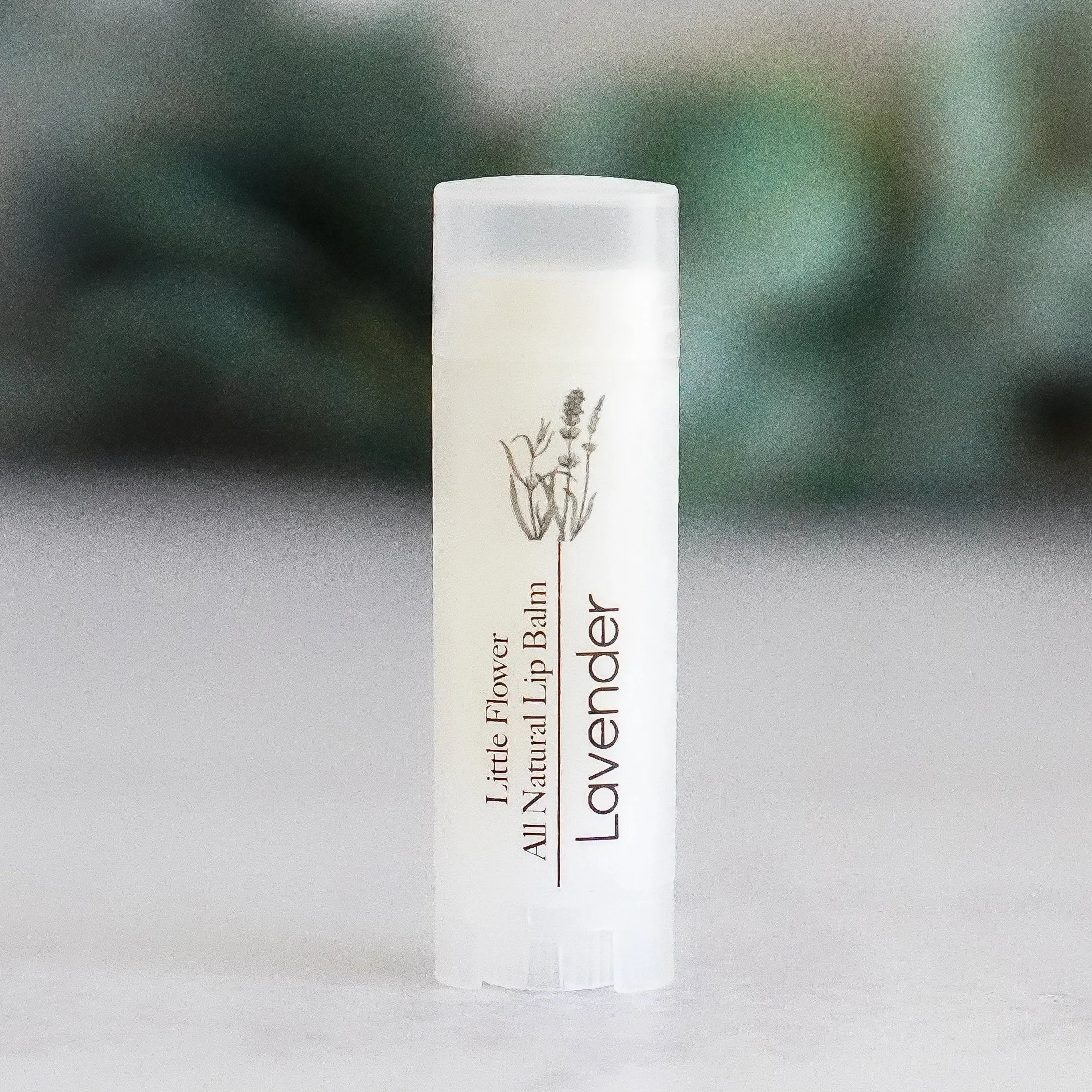 Pina Colada Lip Balm